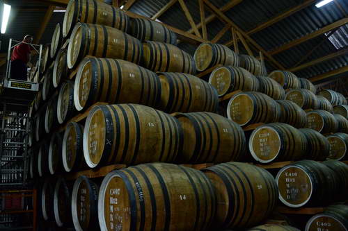 Alltech-WEG-10-10-13-5518-DDeRosaPhoto