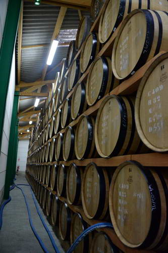 Alltech-WEG-10-10-13-5522-DDeRosaPhoto