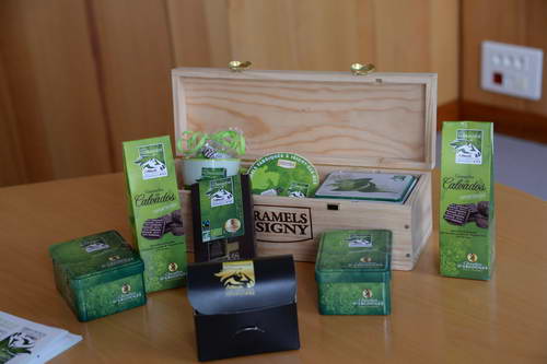 Alltech-WEG-10-10-13-5559-DDeRosaPhoto