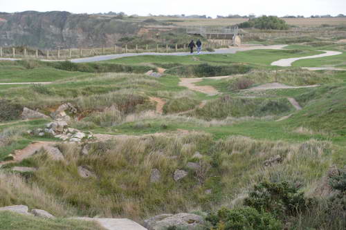 Alltech-WEG-10-10-13-5711-DDeRosaPhoto