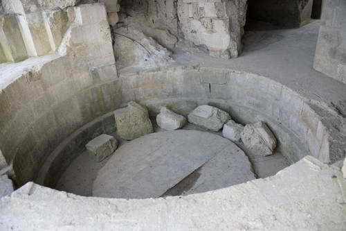 Alltech-WEG-10-10-13-5716-DDeRosaPhoto