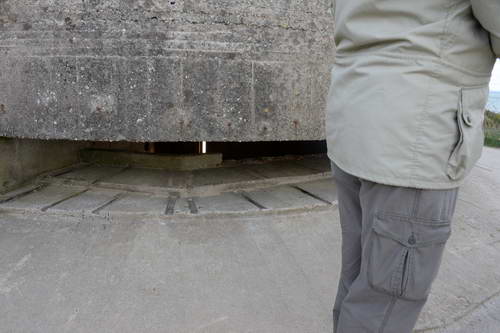 Alltech-WEG-10-10-13-5722-DDeRosaPhoto