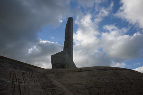 Alltech-WEG-10-10-13-5724-DDeRosaPhoto