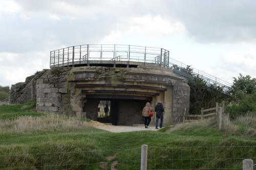 Alltech-WEG-10-10-13-5734-DDeRosaPhoto