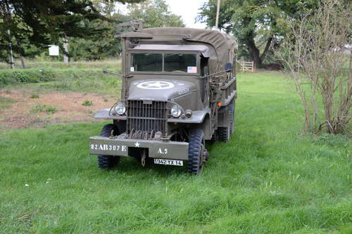 Alltech-WEG-10-10-13-5787-DDeRosaPhoto