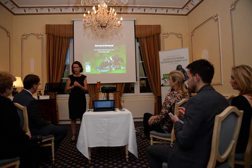 Alltech-WEG-10-10-13-5798-DDeRosaPhoto