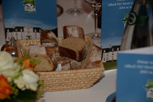 Alltech-WEG-10-10-13-5812-DDeRosaPhoto