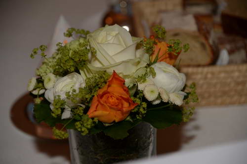 Alltech-WEG-10-10-13-5813-DDeRosaPhoto