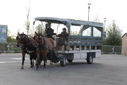 Alltech-WEG-10-11-13-5828-DDeRosaPhoto