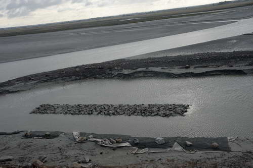 Alltech-WEG-10-11-13-5864-DDeRosaPhoto