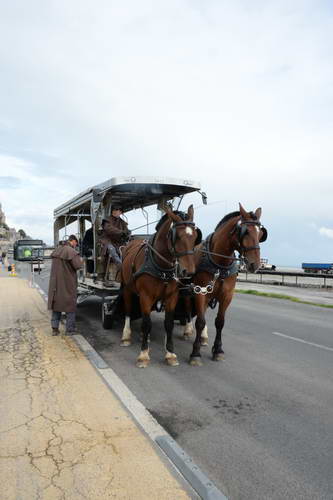 Alltech-WEG-10-11-13-5925-DDeRosaPhoto