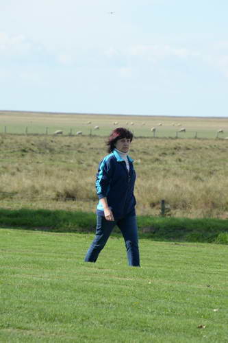 Alltech-WEG-10-11-13-5949-DDeRosaPhoto