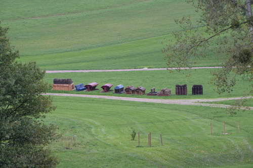 Alltech-WEG-10-11-13-5991-DDeRosaPhoto