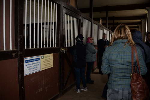 Alltech-WEG-10-11-13-6001-DDeRosaPhoto