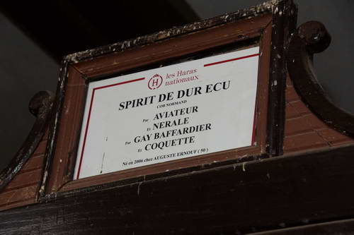 Alltech-WEG-10-11-13-6005-DDeRosaPhoto