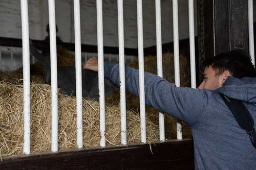 Alltech-WEG-10-11-13-6016-DDeRosaPhoto