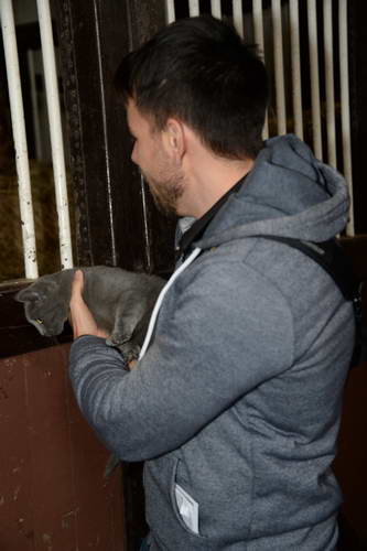 Alltech-WEG-10-11-13-6021-DDeRosaPhoto