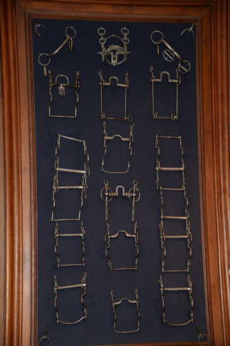 Alltech-WEG-10-11-13-6035-DDeRosaPhoto