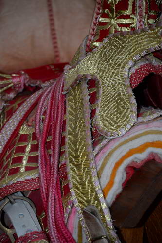 Alltech-WEG-10-11-13-6038-DDeRosaPhoto