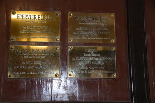 Alltech-WEG-10-11-13-6071-DDeRosaPhoto