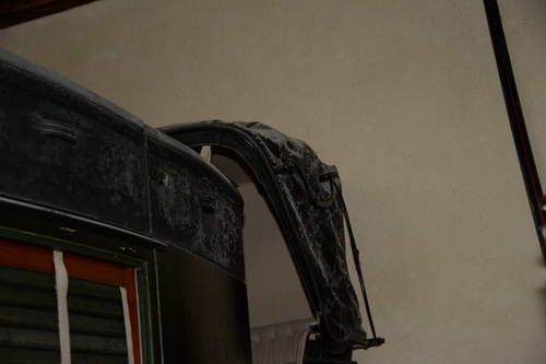 Alltech-WEG-10-11-13-6083-DDeRosaPhoto