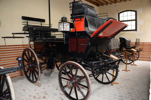 Alltech-WEG-10-11-13-6093-DDeRosaPhoto