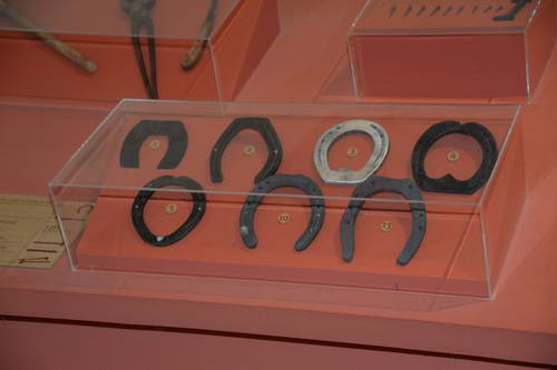 Alltech-WEG-10-11-13-6112-DDeRosaPhoto