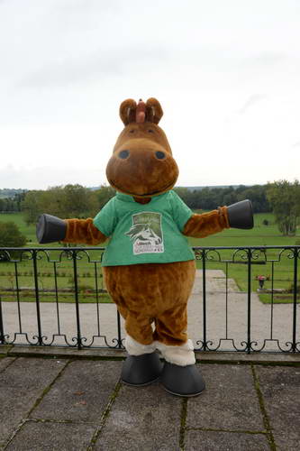 Alltech-WEG-10-11-13-6134-DDeRosaPhoto