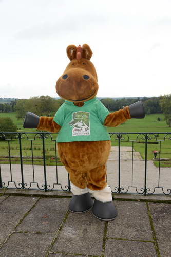 Alltech-WEG-10-11-13-6136-DDeRosaPhoto