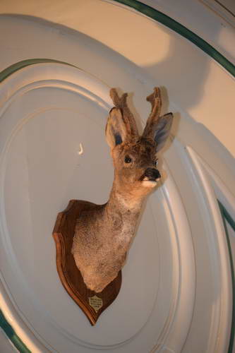 Alltech-WEG-10-11-13-6170-DDeRosaPhoto