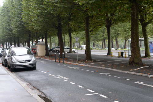 Alltech-WEG-10-12-13-6184-DDeRosaPhoto