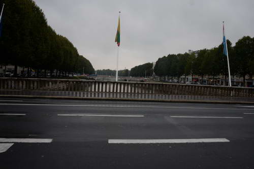 Alltech-WEG-10-12-13-6194-DDeRosaPhoto