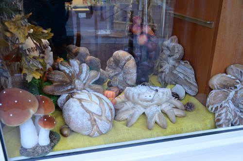 Alltech-WEG-10-9-13-5230-DDeRosaPhoto