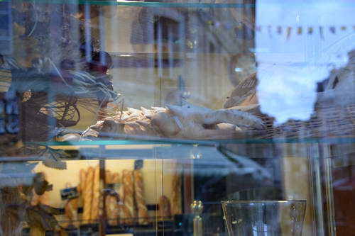 Alltech-WEG-10-9-13-5231-DDeRosaPhoto