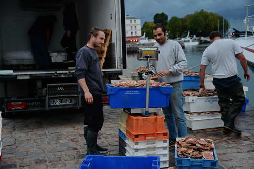 Alltech-WEG-10-9-13-5265-DDeRosaPhoto