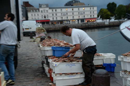 Alltech-WEG-10-9-13-5269-DDeRosaPhoto