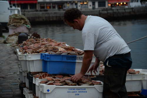 Alltech-WEG-10-9-13-5270-DDeRosaPhoto