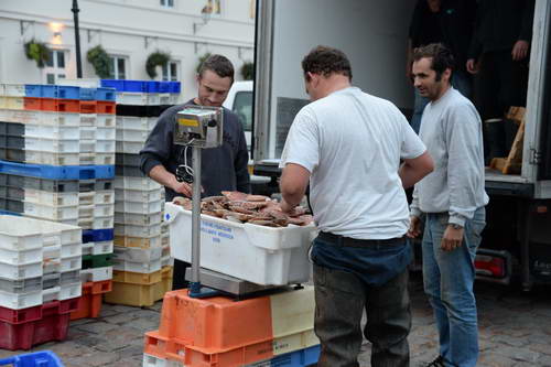 Alltech-WEG-10-9-13-5271-DDeRosaPhoto