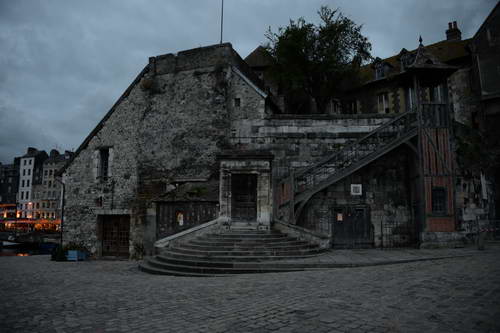 Alltech-WEG-10-9-13-5281-DDeRosaPhoto