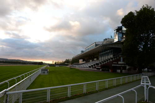 Alltech-WEG-10-10-13-5405-DDeRosaPhoto