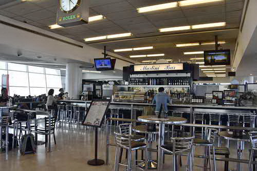 WEG-8-21-14-0002098-DDeRosaPhoto