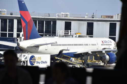 WEG-8-21-14-0002104-DDeRosaPhoto