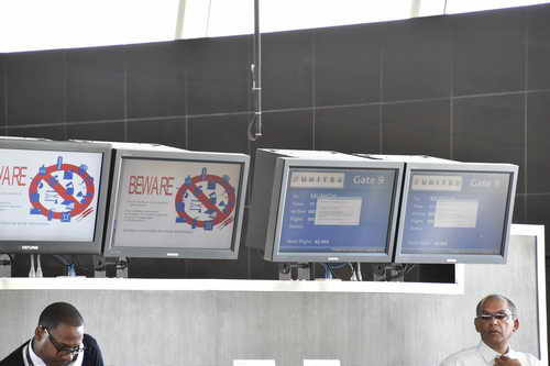 WEG-8-21-14-0002108-DDeRosaPhoto