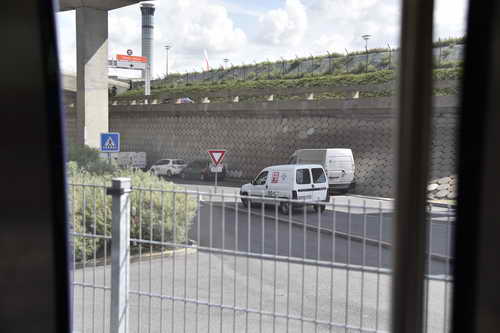 WEG-8-21-14-0002129-DDeRosaPhoto