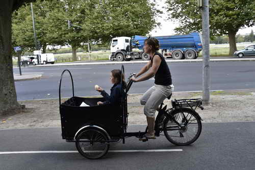 WEG-8-21-14-0002194-DDeRosaPhoto