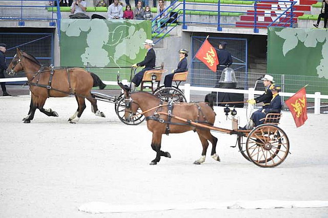 WEG-8-23-14-OpenCeremony-0002328-DDeRosaPhoto
