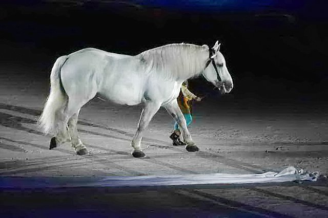 WEG-8-23-14-OpenCeremony-0002922-DDeRosaPhoto