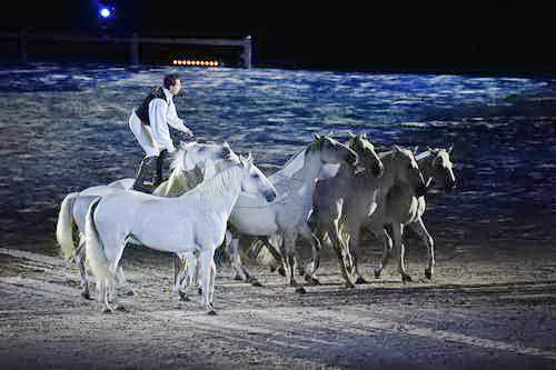 WEG-8-23-14-OpenCeremony-0003234-DDeRosaPhoto