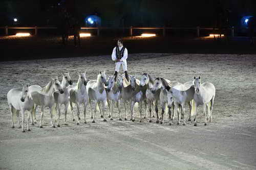 WEG-8-23-14-OpenCeremony-0003311-DDeRosaPhoto