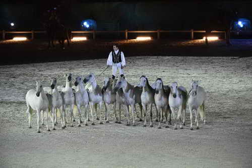 WEG-8-23-14-OpenCeremony-0003312-DDeRosaPhoto